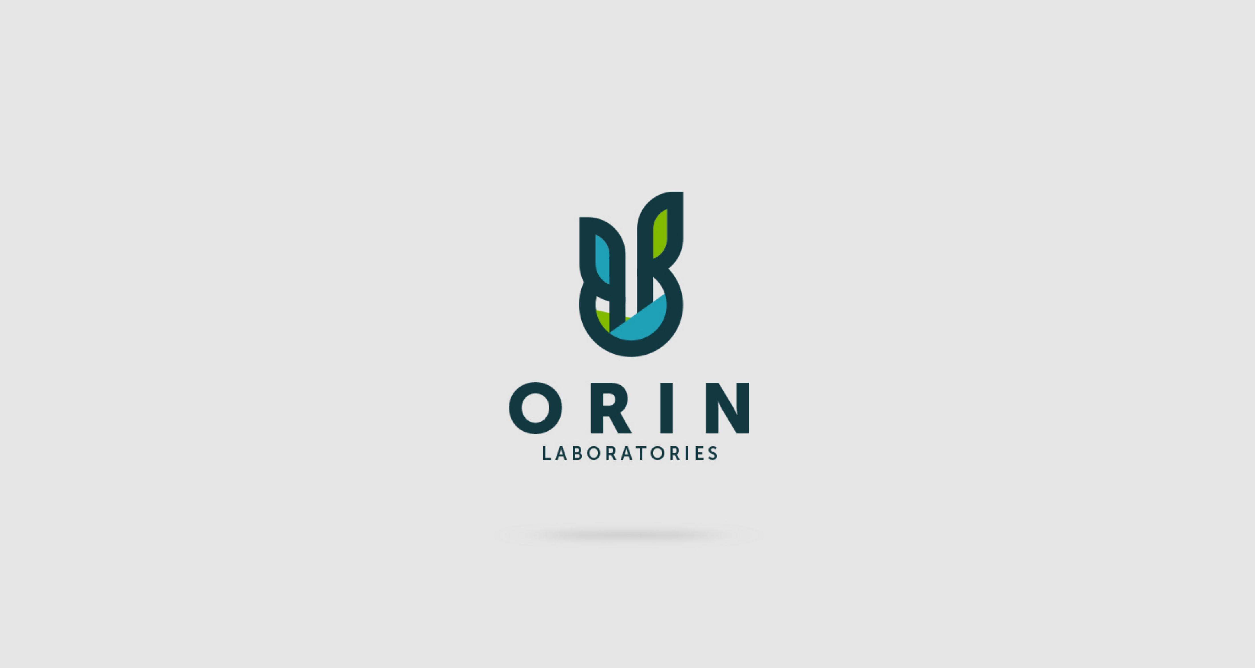 Orin